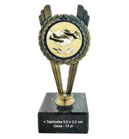 Trofeum metalowe gratulacje 16,5cm Rp68