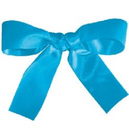 Wstążka WSA błękitna