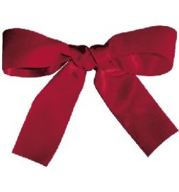 Wstążka WSA bordowa