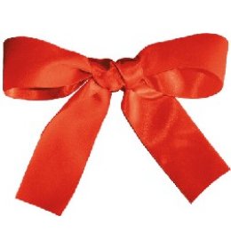 Wstążka WSA czerwona