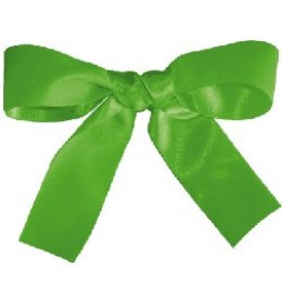 Wstążka WSA seledynowa