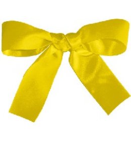 Wstążka WSA żółta